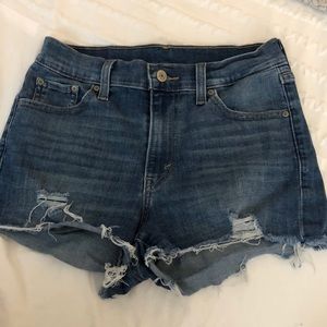 Levi Shorts